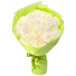 Букет из 21 белой одноголовой хризантемы